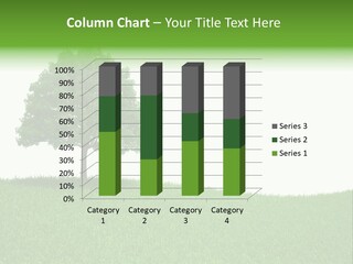 Meadow Sunlight One PowerPoint Template