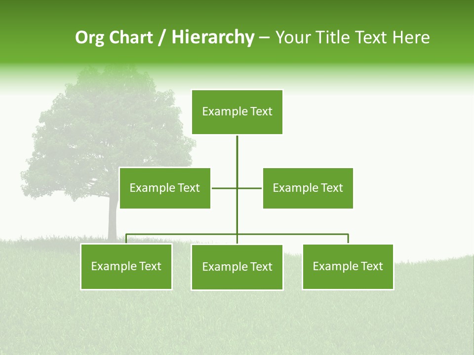 Meadow Sunlight One PowerPoint Template