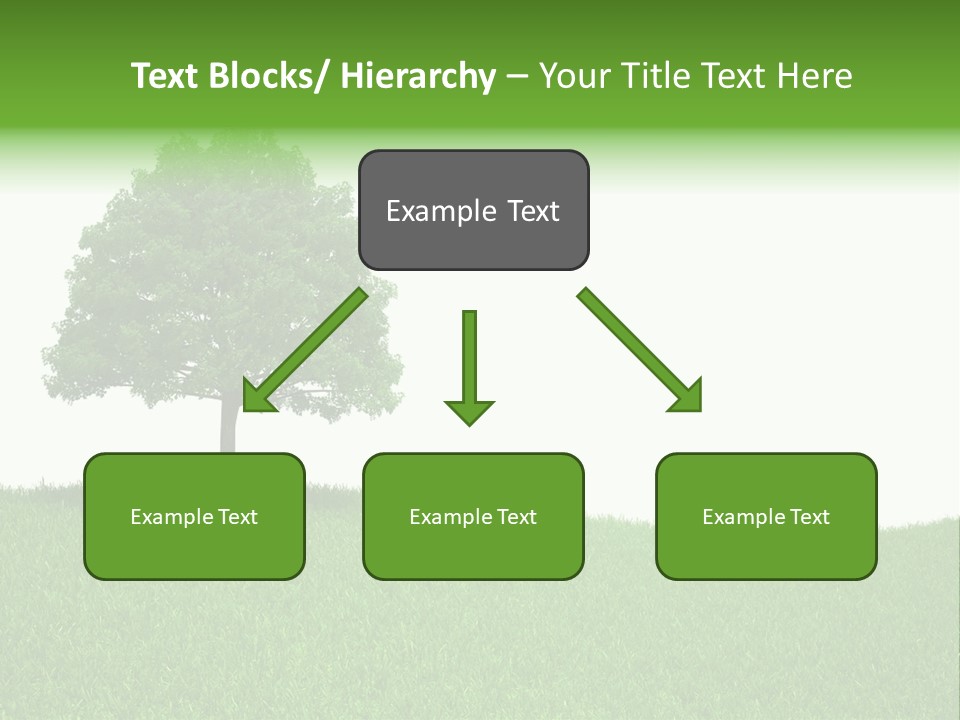 Meadow Sunlight One PowerPoint Template