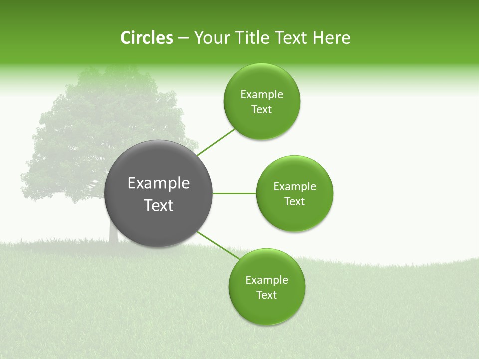 Meadow Sunlight One PowerPoint Template