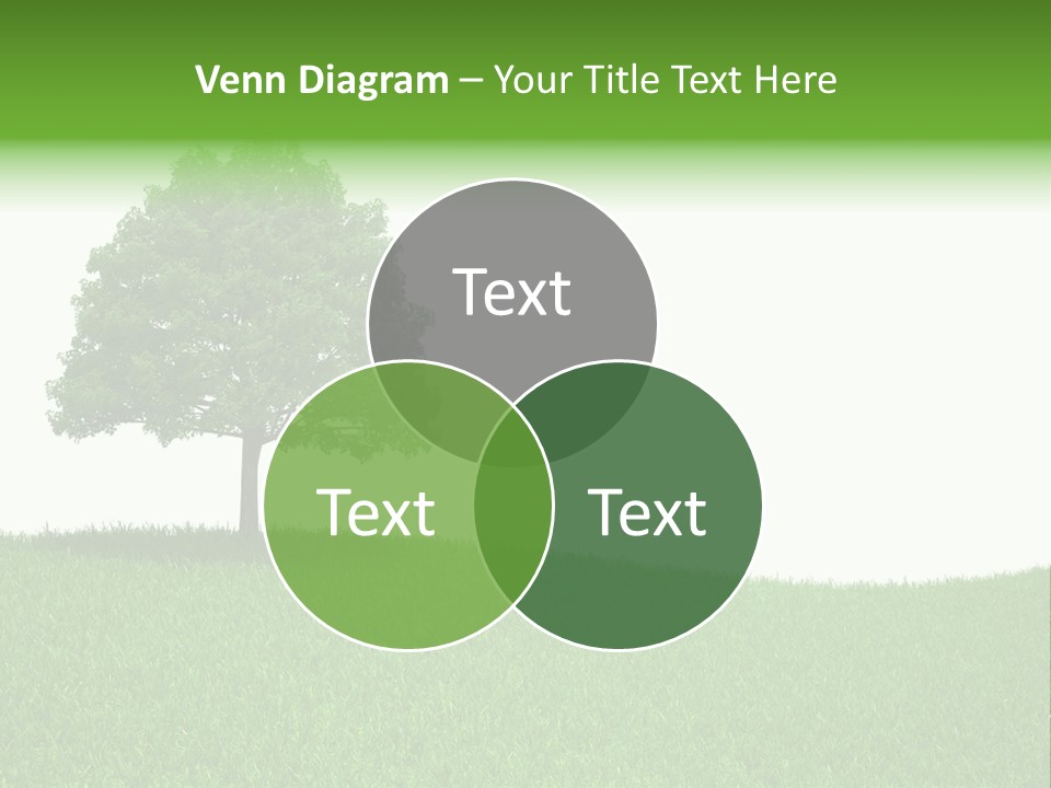 Meadow Sunlight One PowerPoint Template