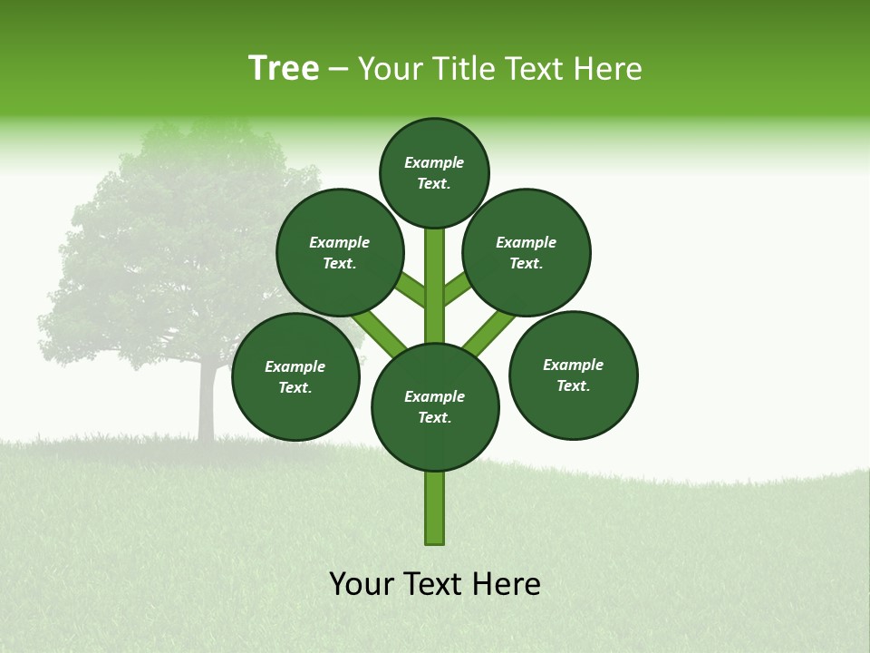 Meadow Sunlight One PowerPoint Template