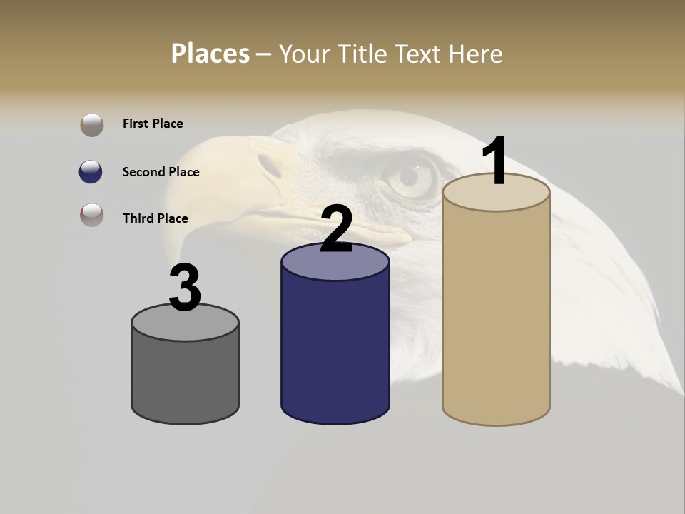 Civic Detailed Public Spirit PowerPoint Template