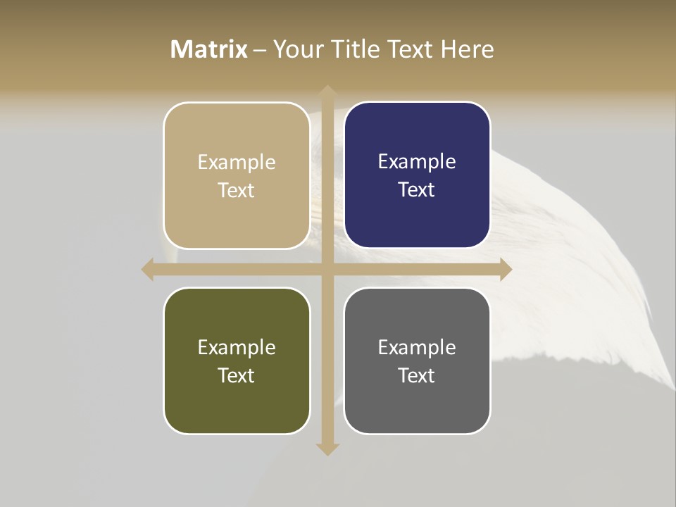 Civic Detailed Public Spirit PowerPoint Template