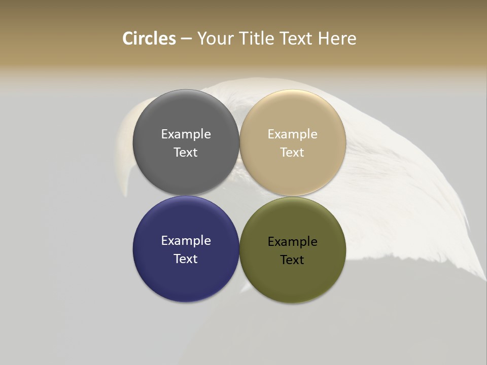 Civic Detailed Public Spirit PowerPoint Template