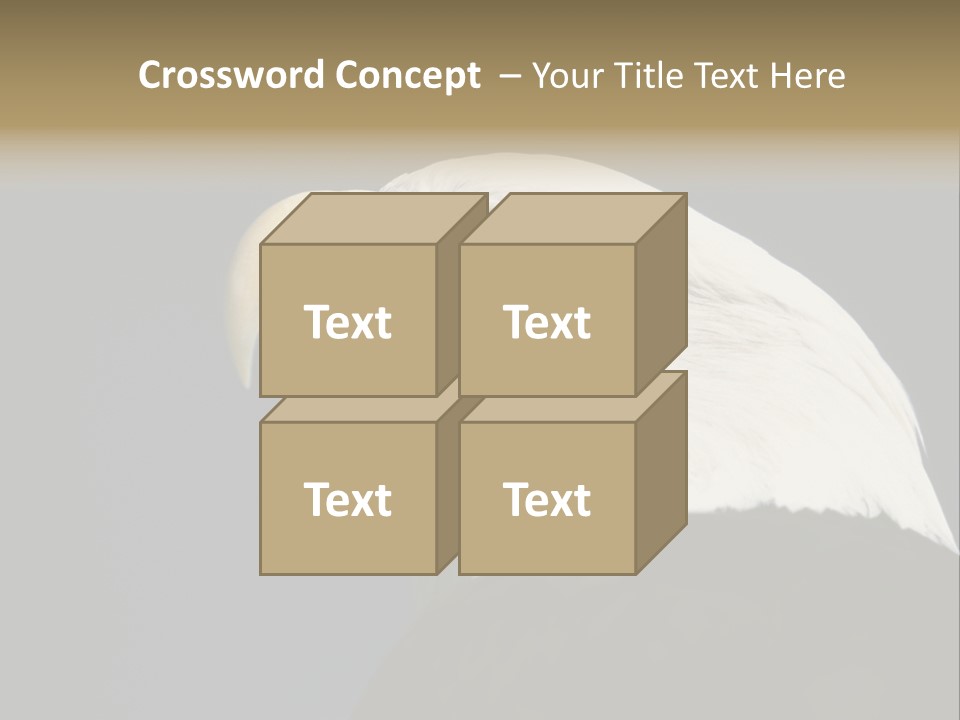 Civic Detailed Public Spirit PowerPoint Template