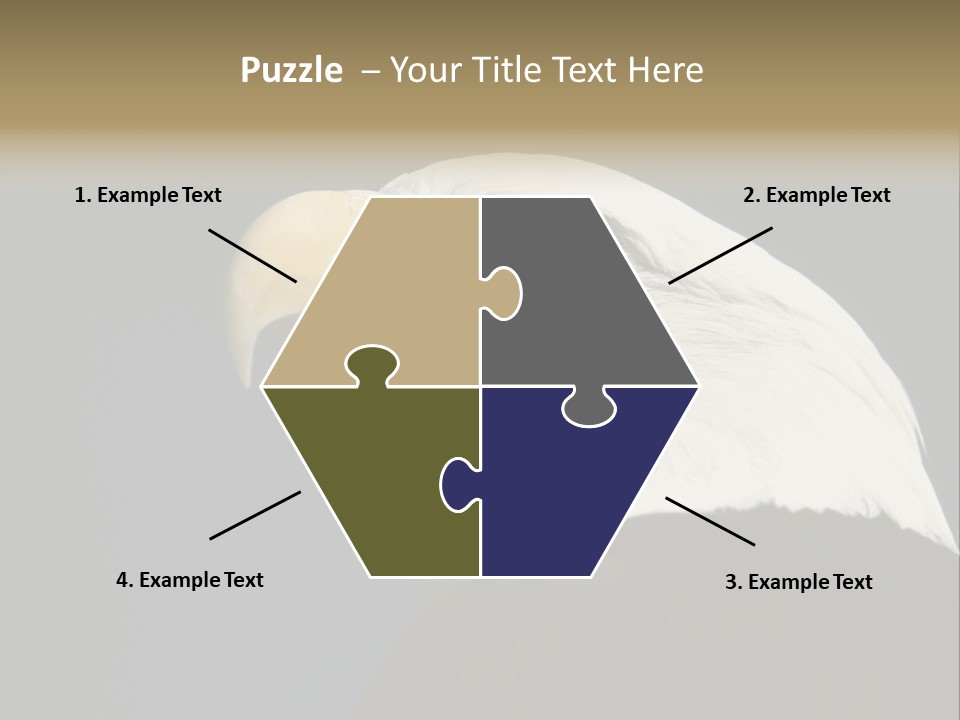 Civic Detailed Public Spirit PowerPoint Template