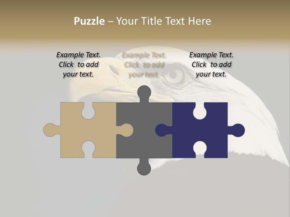 Civic Detailed Public Spirit PowerPoint Template