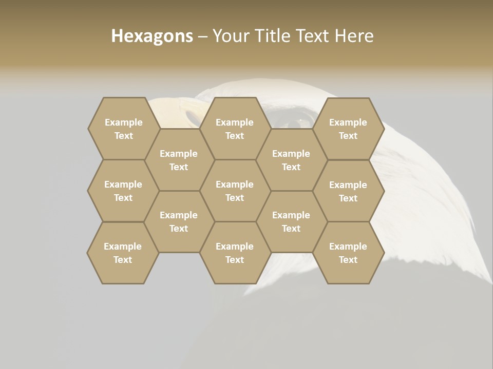 Civic Detailed Public Spirit PowerPoint Template