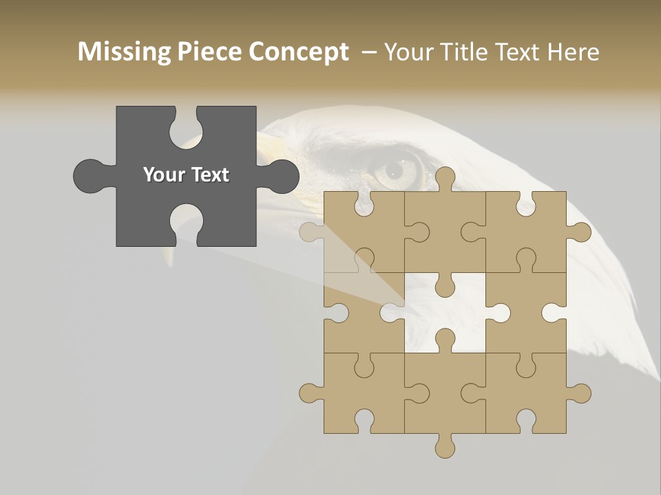 Civic Detailed Public Spirit PowerPoint Template