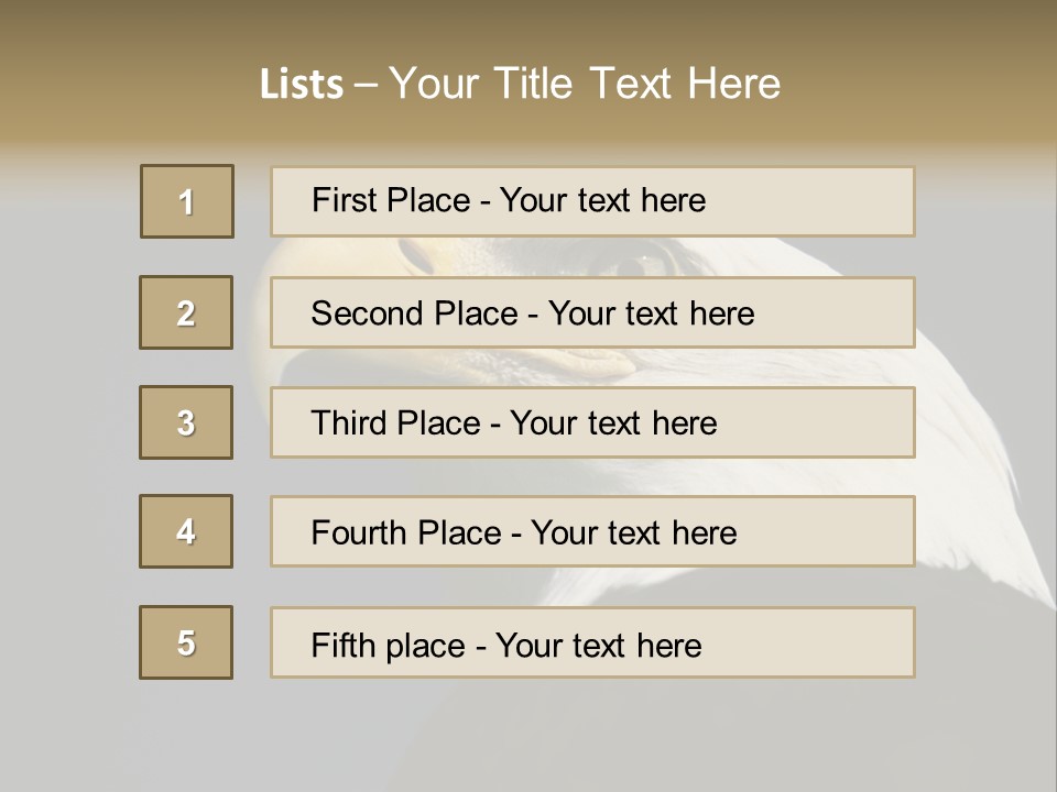 Civic Detailed Public Spirit PowerPoint Template
