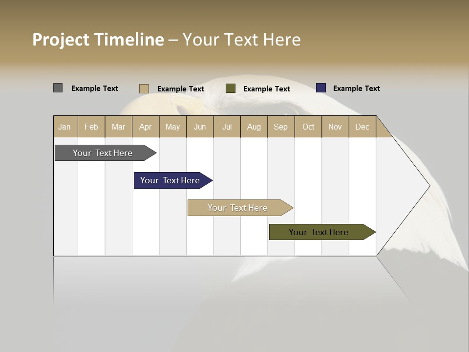 Civic Detailed Public Spirit PowerPoint Template