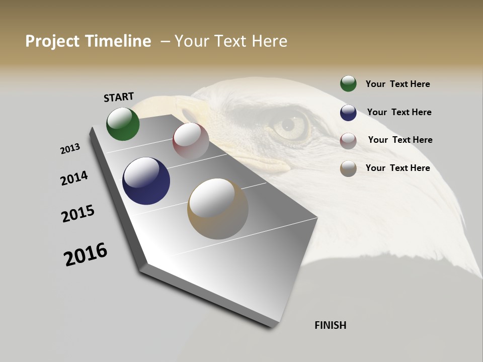 Civic Detailed Public Spirit PowerPoint Template