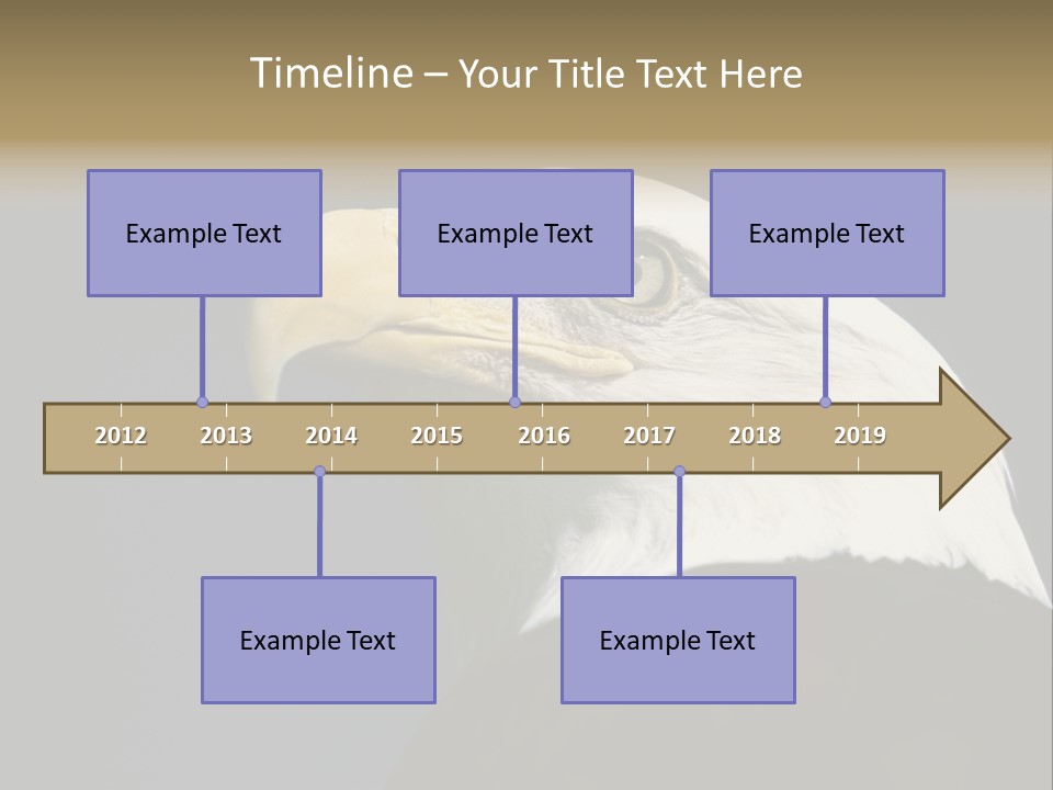 Civic Detailed Public Spirit PowerPoint Template