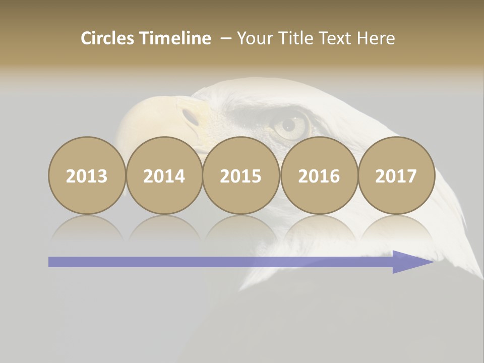 Civic Detailed Public Spirit PowerPoint Template