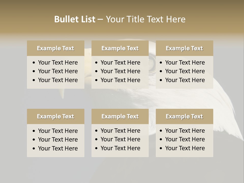 Civic Detailed Public Spirit PowerPoint Template
