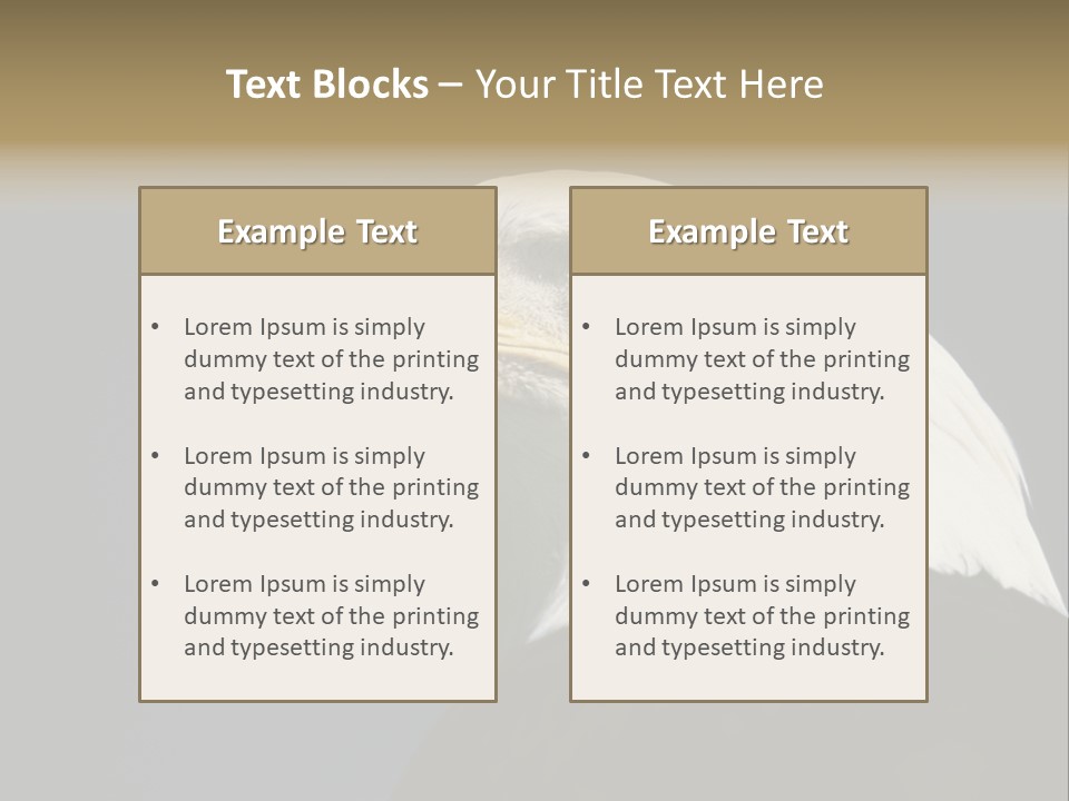 Civic Detailed Public Spirit PowerPoint Template
