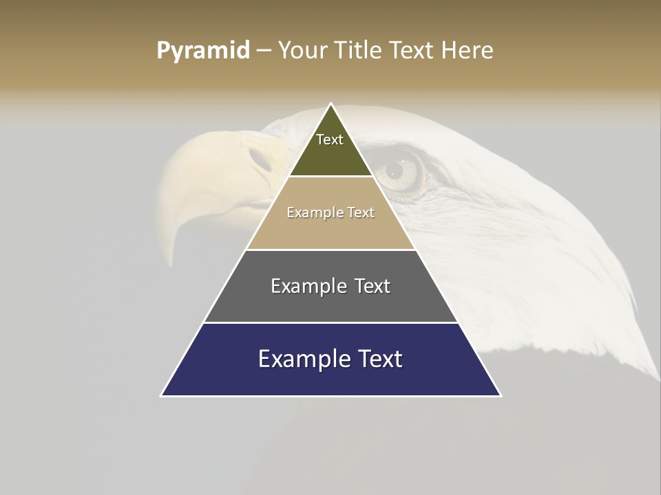 Civic Detailed Public Spirit PowerPoint Template