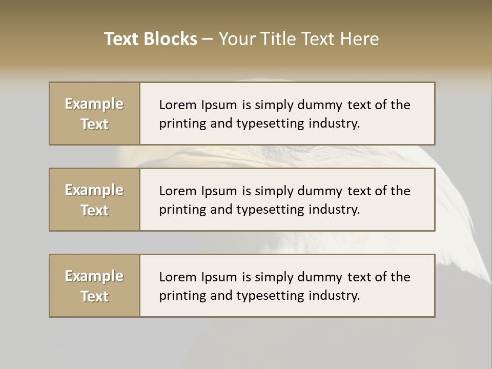 Civic Detailed Public Spirit PowerPoint Template