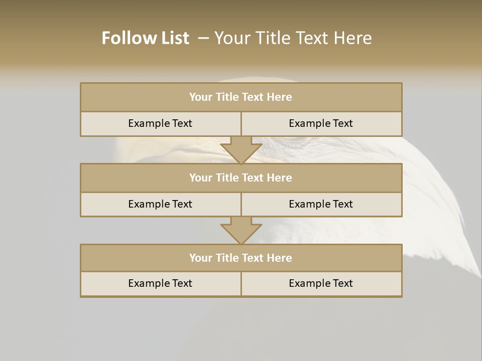 Civic Detailed Public Spirit PowerPoint Template