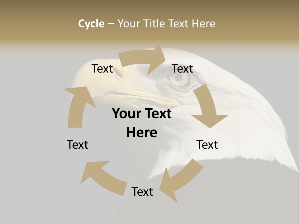 Civic Detailed Public Spirit PowerPoint Template
