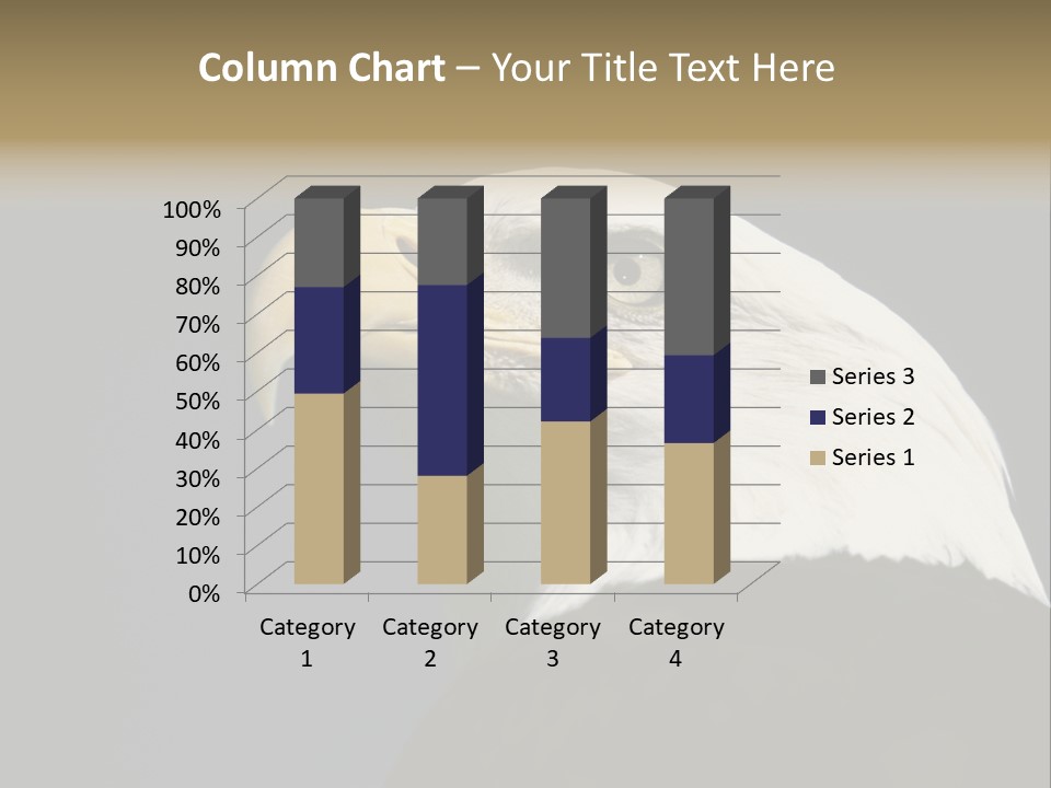 Civic Detailed Public Spirit PowerPoint Template