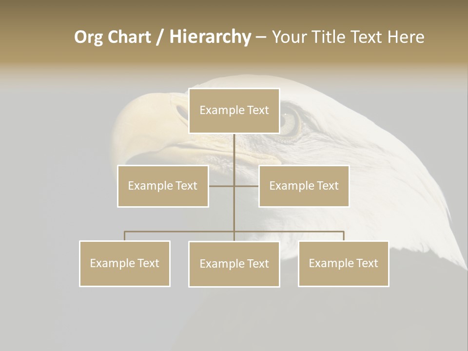 Civic Detailed Public Spirit PowerPoint Template