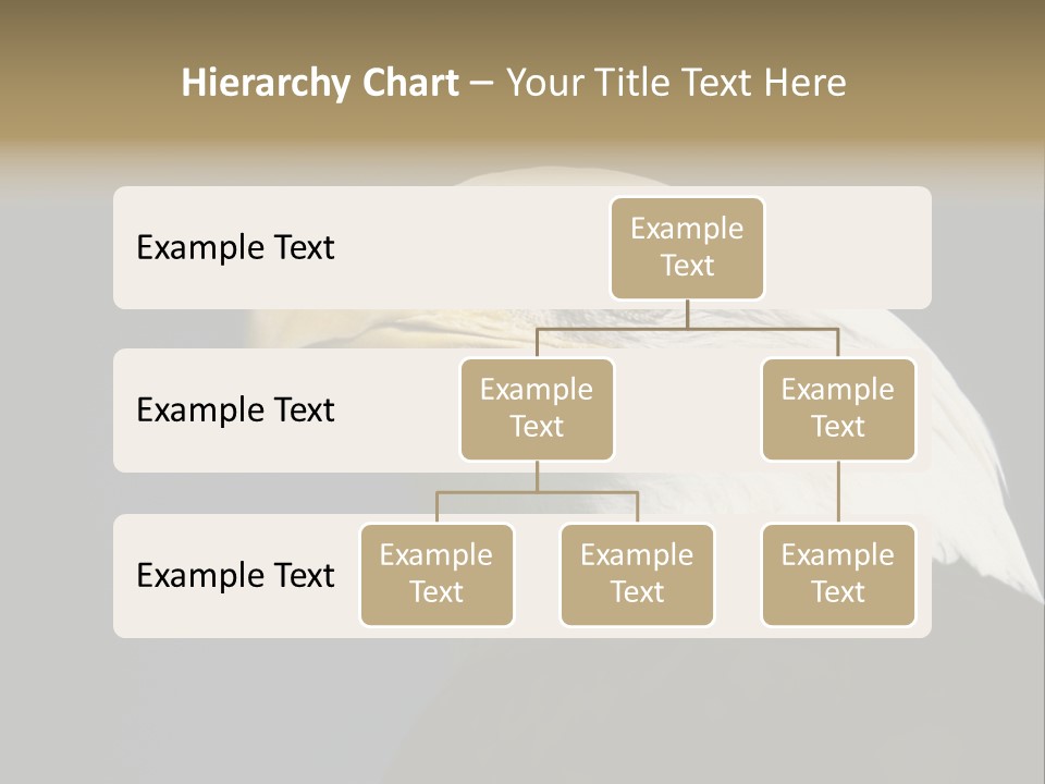 Civic Detailed Public Spirit PowerPoint Template