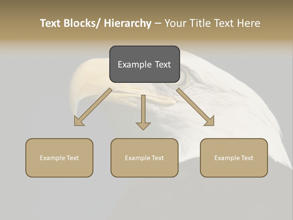 Civic Detailed Public Spirit PowerPoint Template