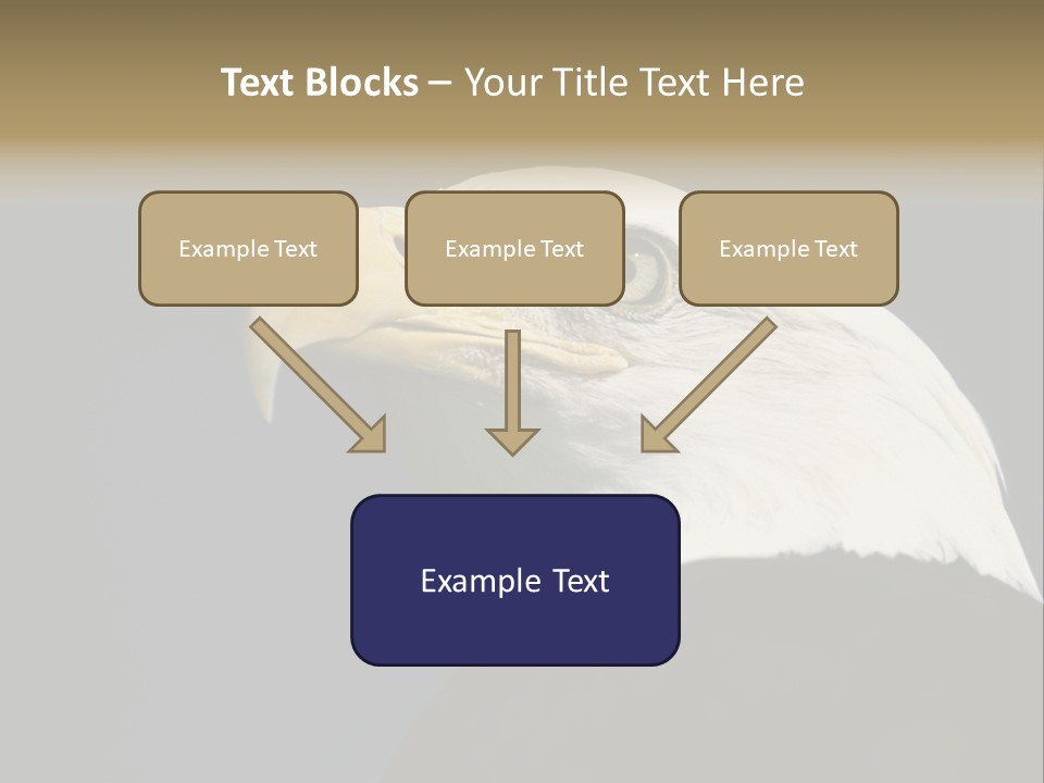 Civic Detailed Public Spirit PowerPoint Template