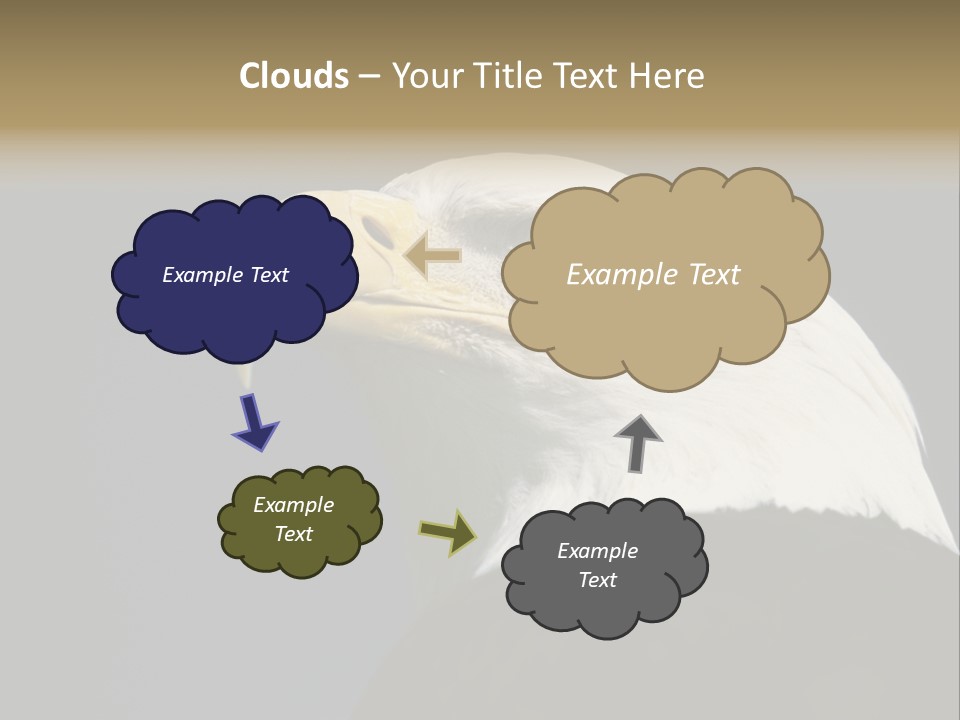Civic Detailed Public Spirit PowerPoint Template