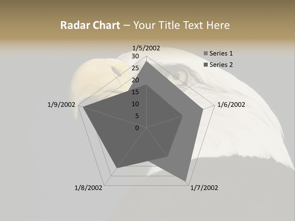 Civic Detailed Public Spirit PowerPoint Template