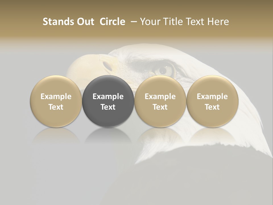 Civic Detailed Public Spirit PowerPoint Template