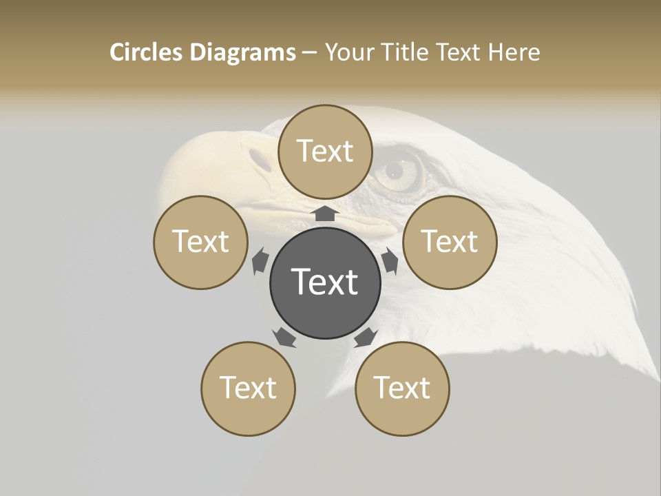 Civic Detailed Public Spirit PowerPoint Template