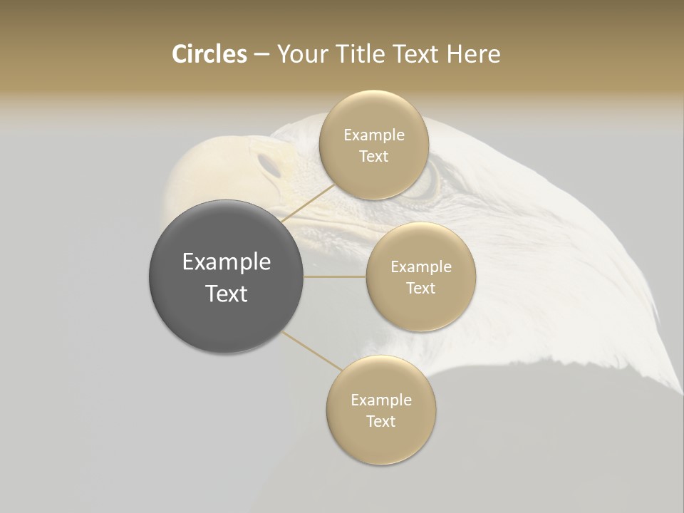 Civic Detailed Public Spirit PowerPoint Template