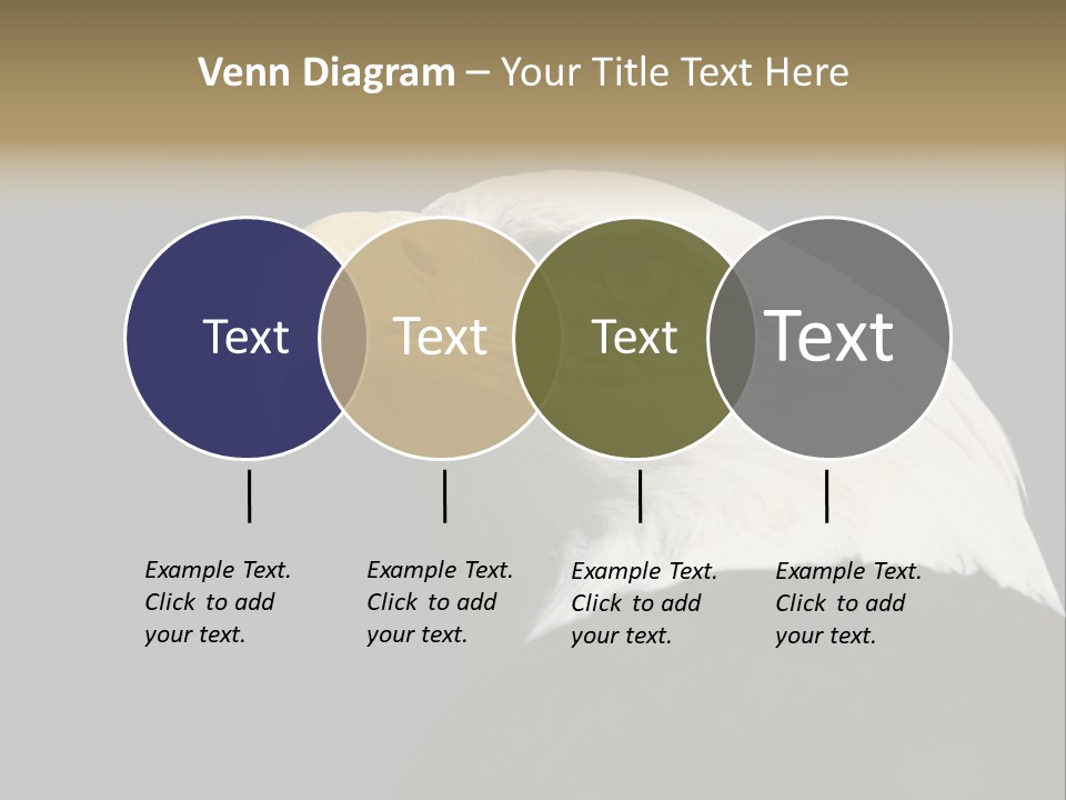 Civic Detailed Public Spirit PowerPoint Template