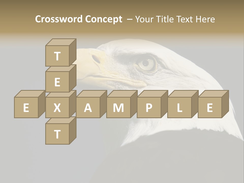 Civic Detailed Public Spirit PowerPoint Template