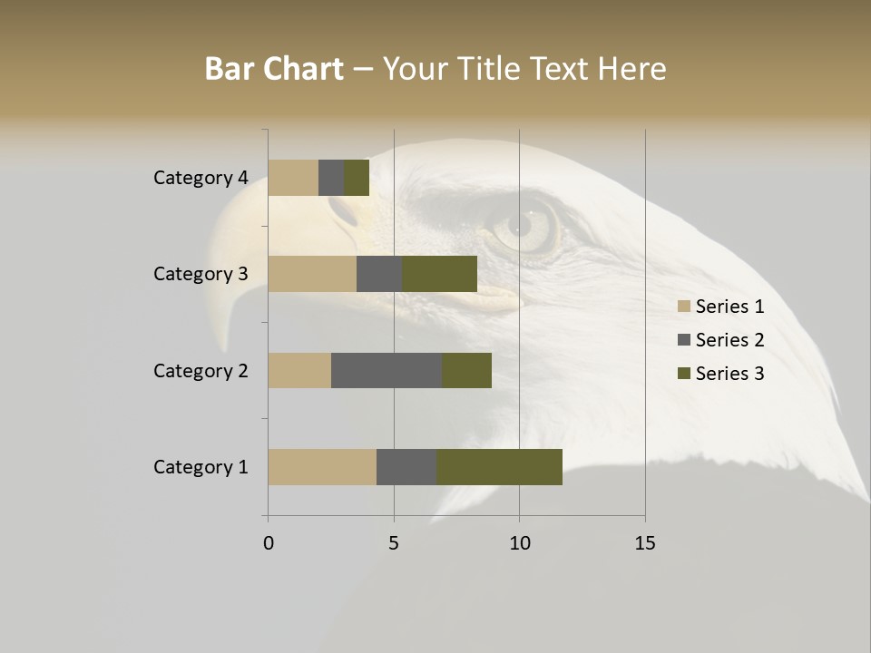 Civic Detailed Public Spirit PowerPoint Template