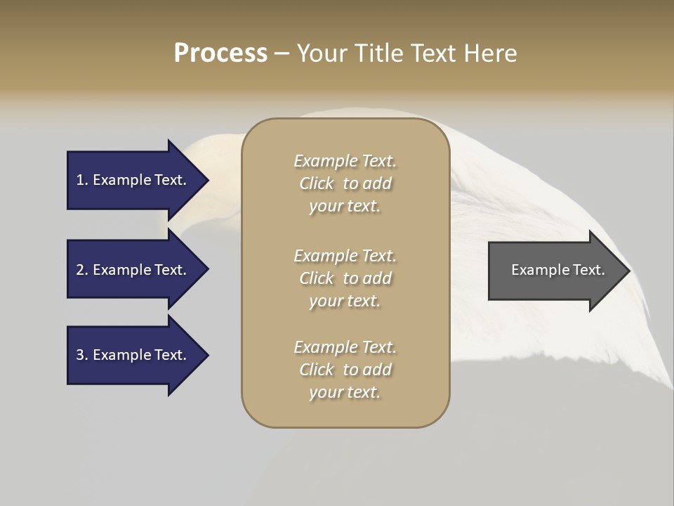 Civic Detailed Public Spirit PowerPoint Template