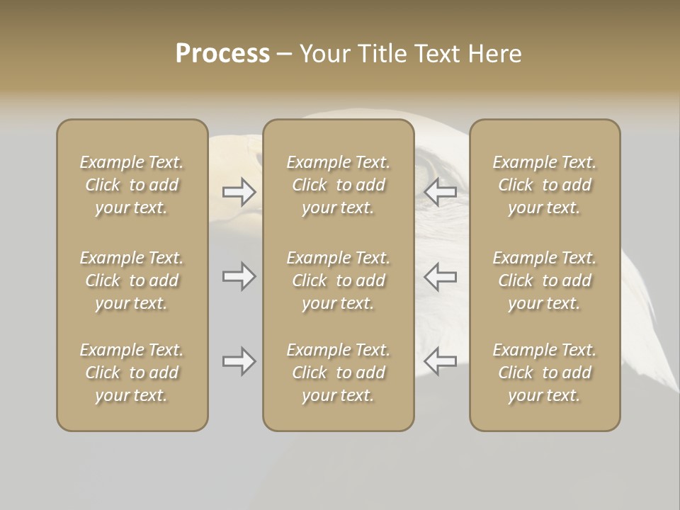 Civic Detailed Public Spirit PowerPoint Template