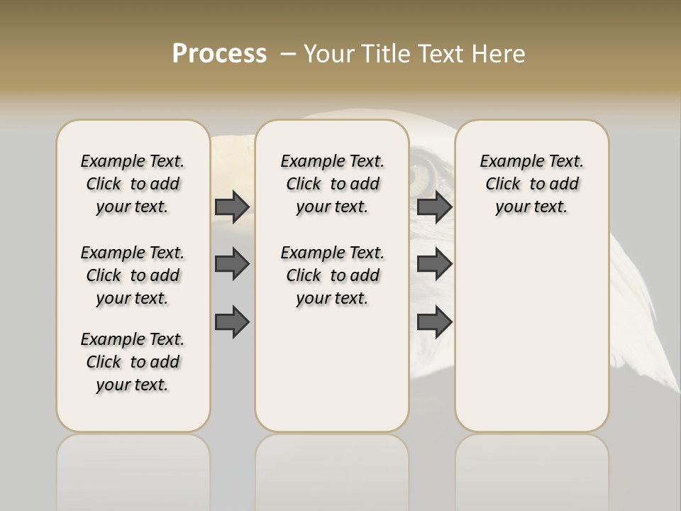 Civic Detailed Public Spirit PowerPoint Template