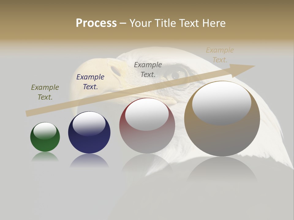 Civic Detailed Public Spirit PowerPoint Template