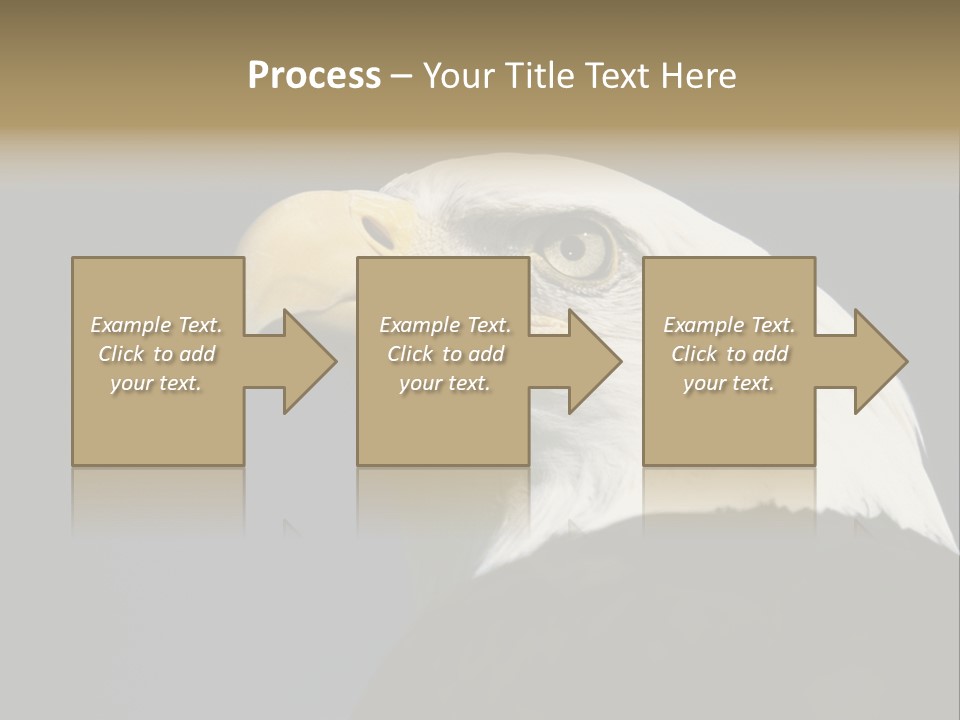 Civic Detailed Public Spirit PowerPoint Template
