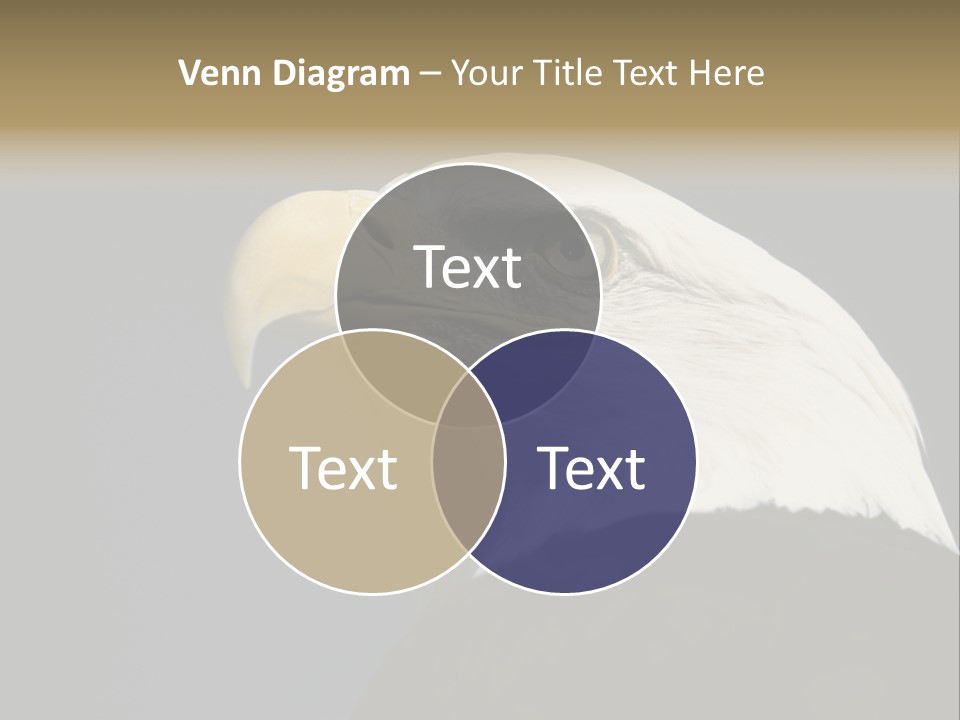 Civic Detailed Public Spirit PowerPoint Template