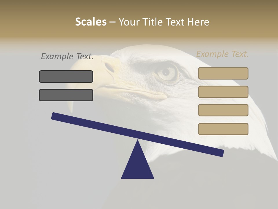 Civic Detailed Public Spirit PowerPoint Template