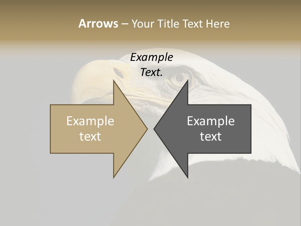 Civic Detailed Public Spirit PowerPoint Template