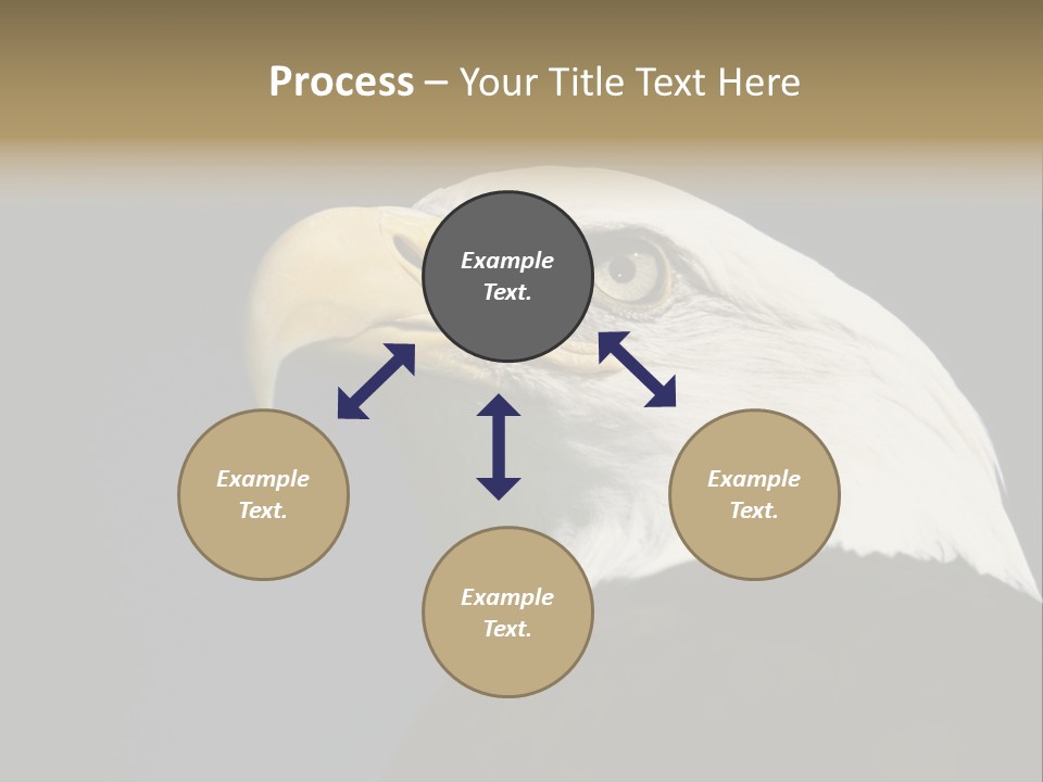 Civic Detailed Public Spirit PowerPoint Template