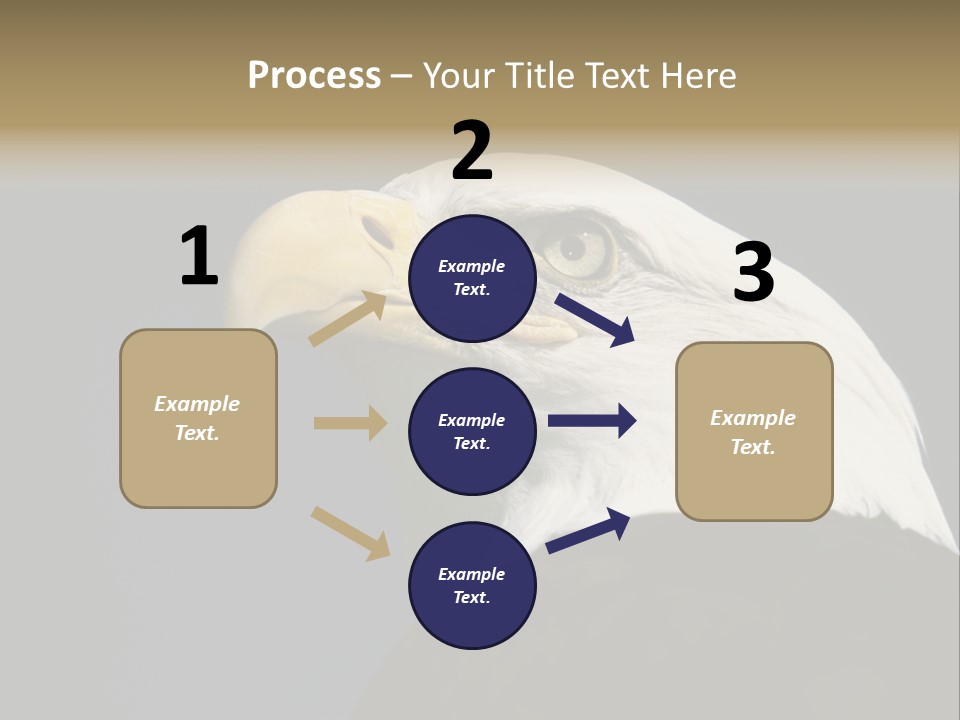 Civic Detailed Public Spirit PowerPoint Template