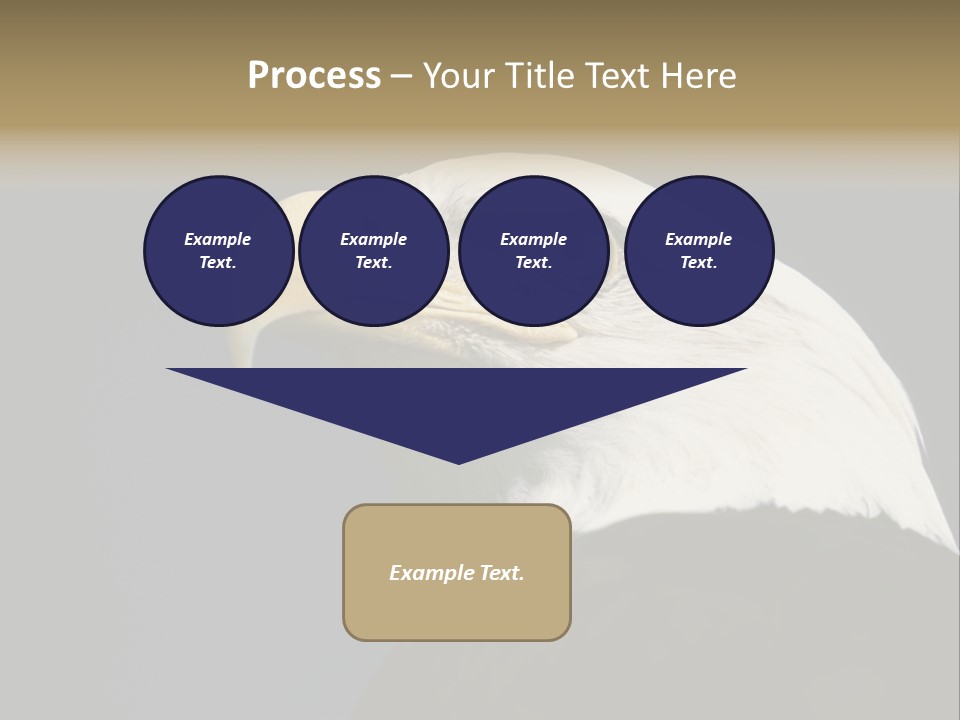 Civic Detailed Public Spirit PowerPoint Template