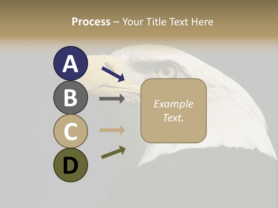 Civic Detailed Public Spirit PowerPoint Template